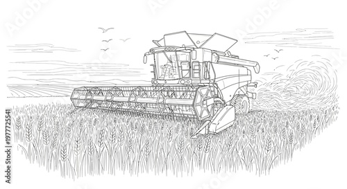 Combine harvester harvesting wheat field, agricultural machinery, rural landscape, summer season