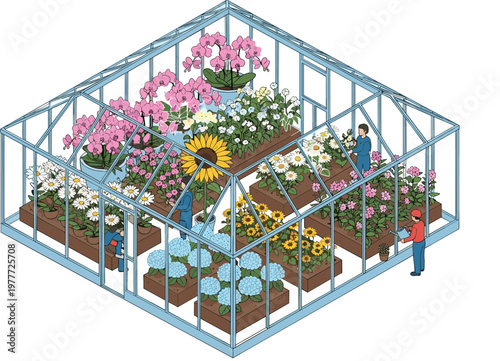 Isometric flat vector illustration of people gardening in glass greenhouse featuring sunflowers orchids daisies and hydrangeas for agriculture sustainability and hobby plant cultivation.