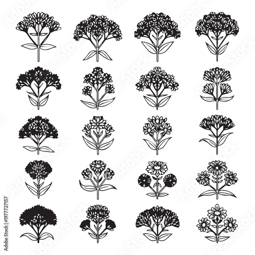 Collection of decorative floral motifs in black and white line art style