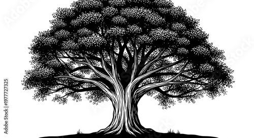 Majestic Oak Tree Silhouette, Ancient Wisdom, Nature's Grandeur, Black and White
