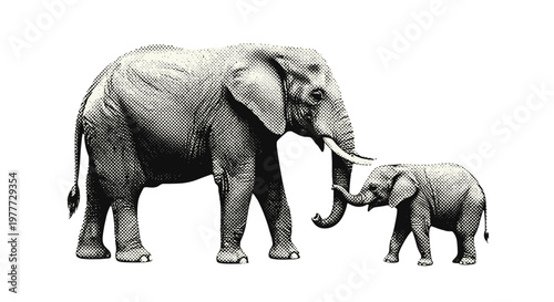 Adult and baby elephant standing together on plain background