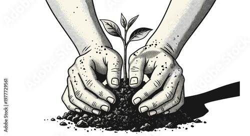 Hands planting a seed in soil representing growth and nurturing