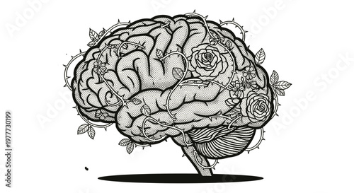 Illustration of a human brain with detailed anatomical features