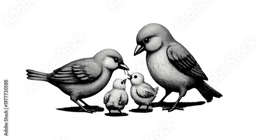 Family of four birds including two adult sparrows and two chicks