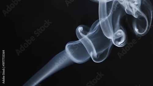 Wallpaper Mural Delicate white smoke plume rising against a dark black background Torontodigital.ca