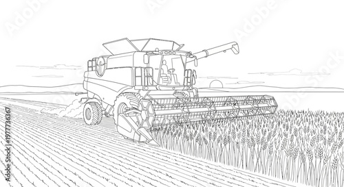 Combine harvester in a wheat field at sunset, agricultural machinery, harvest season