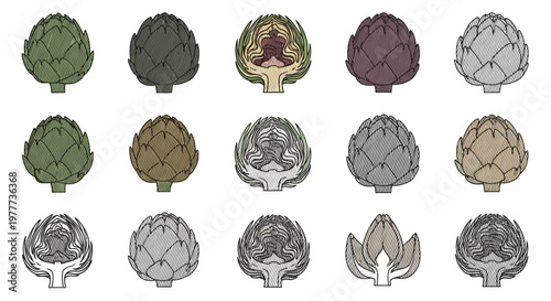 Artichoke Variety Collection: Whole and Halved, Vintage Sketch Style Illustrations