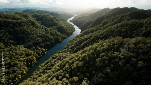 Environmental conservation and ecosystem preservation Aerial drone shot of a lush green forest with a winding river illustrating biodiversity sustainable tourism and the importance of protecting.