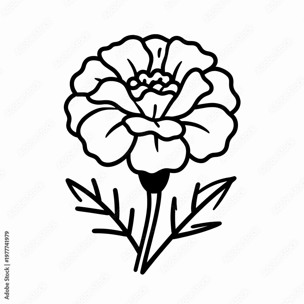 Obraz premium Minimalist flat vector illustration of a single blooming marigold flower with clean black lines, elegant botanical floral head isolated on a white background for spring and summer nature concepts.