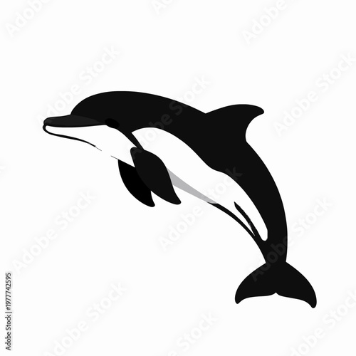 Minimalist flat vector illustration of a single leaping bottlenose dolphin, sleek black and white aquatic animal icon, isolated on white background for marine life and nature concepts.