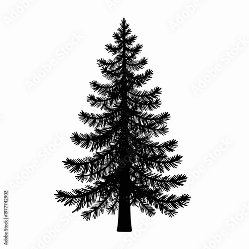 Minimalist Black and White Flat Vector Illustration of a Single Towering Spruce Tree with Stippled Texture and Fine Ink Details, Isolated on White Background for Nature Concept and Forest Design