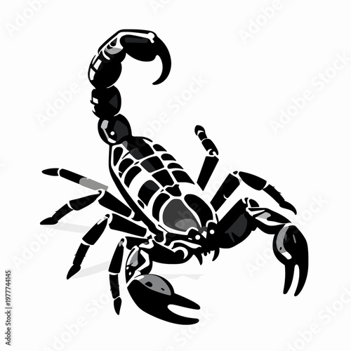 Stylized black and white emperor scorpion vector illustration, aggressive predatory arachnid in striking pose with raised venomous stinger, flat minimalist wildlife graphic concept isolated on white.