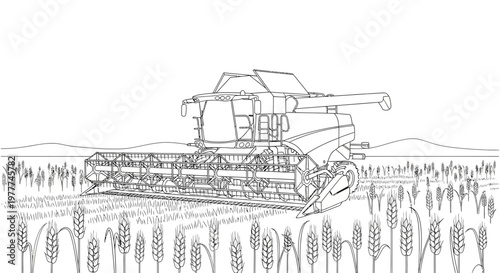 Combine harvester in wheat field during harvest season, agricultural machinery working on farm