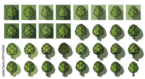 Artichoke Collection: Fresh Green Vegetables in Various Styles and Shadows