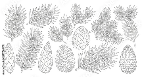 Pine Cones and Branches Hand-Drawn Sketch - Vector Elements for Design