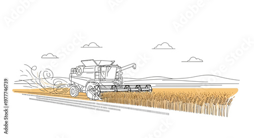 Combine harvester working in a golden wheat field during harvest season, agricultural landscape