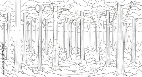 Enchanting Forest Path: Black and White Outline Drawing of Lush Trees and Foliage