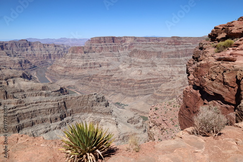 The river at Grand Canyon National park
