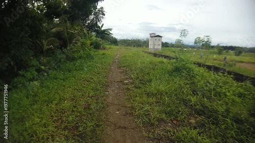 A small footpath located near rice fields in a rural agricultural area. The scene shows a simple pathway used by farmers and villagers in the countryside.
