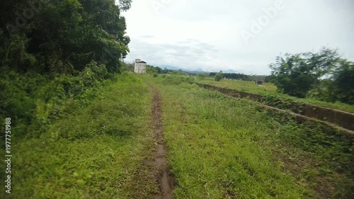 A small footpath located near rice fields in a rural agricultural area. The scene shows a simple pathway used by farmers and villagers in the countryside.