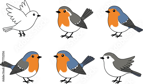 Set of adorable cartoon robin birds in different poses colorful flat style wildlife character illustration collection