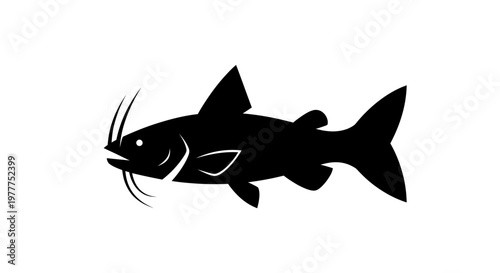 Black silhouette of a catfish with long whiskers on a white background