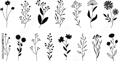Clean line art collection of sixteen botanical flowers and plants including stems berries and abstract floral silhouettes