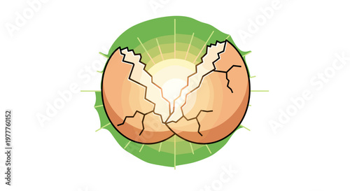 Cracked Egg Bursting with Light: New Beginning, Opportunity Symbol, Surprise. Cartoon style Eggshell Explosion isolated on transparent background.