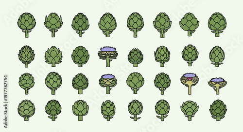 Artichoke Variety: Whole and Halved Illustrations on a Light Green Background