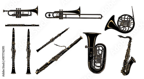 Orchestral Brass and Woodwind Instruments Collection