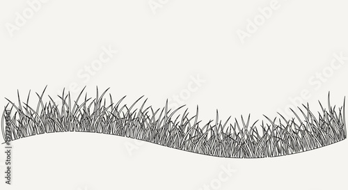 Hand-drawn wavy grass border, sketch style, isolated on white background