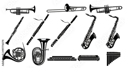 Collection of Musical Instruments: Brass, Woodwind, and Harmonica
