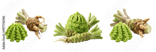 Wasabi Paste Root - Eutrema Japonicum - Japanese Horseradish - Pasta de Wasabi - Sinus Clearing Spicy Root - Traditional Sushi Condiment - Antimicrobial Herb - Authentic Green Root Paste