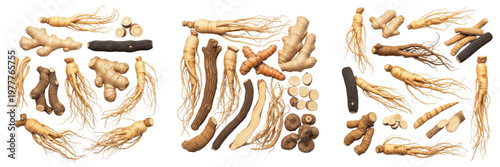 Traditional Medicine Roots Collection - Ancient Herbal Remedies - Colección de Raíces de Medicina Tradicional - Ethnobotanical Selection - Natural Pharmacy Roots - Holistic Health Botanicals