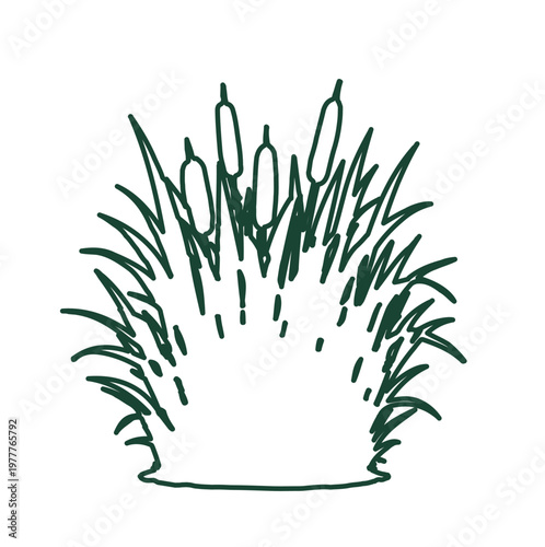 Minimalist Green Cattail Plant and Grass Illustration