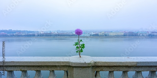 A single purple flower blooms on a concrete ledge, overlooking a river and hazy cityscape