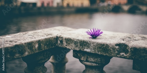 Close-up of a weathered stone railing with a single purple flower in focus. A blurred waterway behind