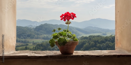 A red flowering plant in a pot sits on a window ledge with a view of rolling hills