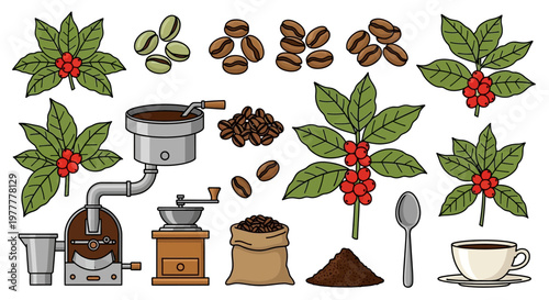 Coffee Beans and Brewing Equipment Illustration.