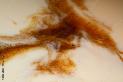Wallpaper Mural Abstract of coffee and milk mixture as background Torontodigital.ca