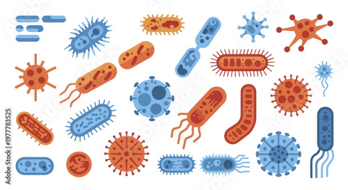 Collection of diverse bacteria and virus illustrations scientific microbiology.