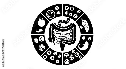 Gut Health and Digestion Diagram with Food Icons.