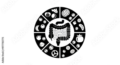 Gut Health and Nutrition Circle Diagram.