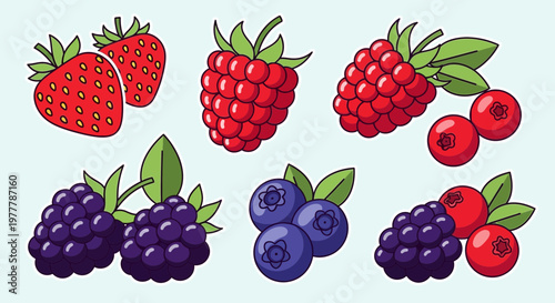 Assorted Fresh Berries: Strawberries, Raspberries, Blueberries, Blackberries, Cranberries