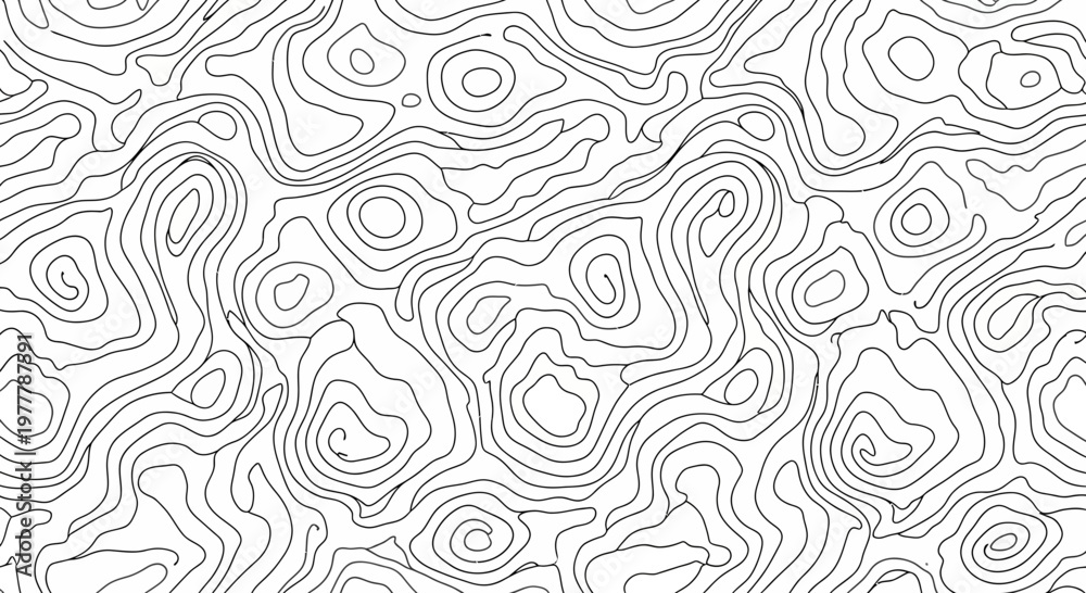 Fototapeta premium Abstract Topographic Contour Lines Pattern Black and White
