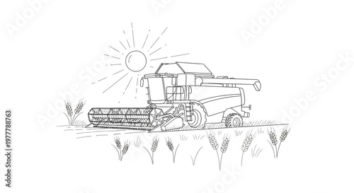 Combine harvester in a wheat field under the sun, illustration