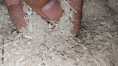 Close-Up of Human Hand Gently Touching White Rice Grains for Food and Agriculture Concept