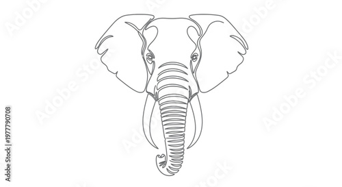 Photography Minimalist line art portrait of an elephant's head and trunk