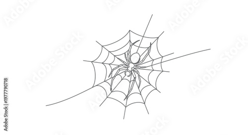 A simple line drawing of a spider perched on a circular web