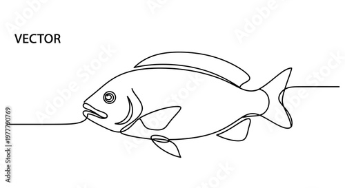 A continuous line drawing depicts a fish with open mouth, dorsal, pectoral, and caudal fins